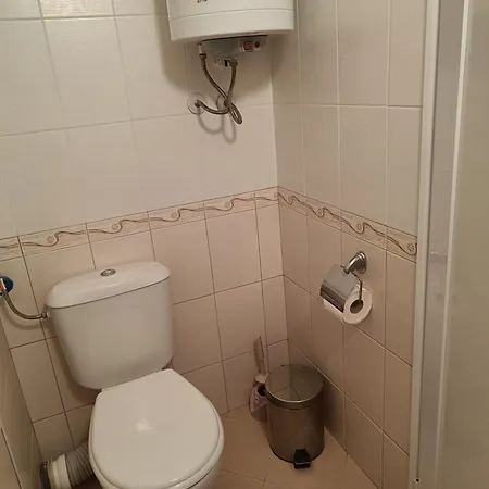 Rose Sluneční pobřeží